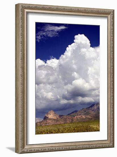 Gathering Summer Storm-Douglas Taylor-Framed Photographic Print