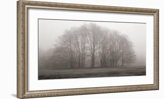Gathering Trees-Michael Iacobellis-Framed Giclee Print