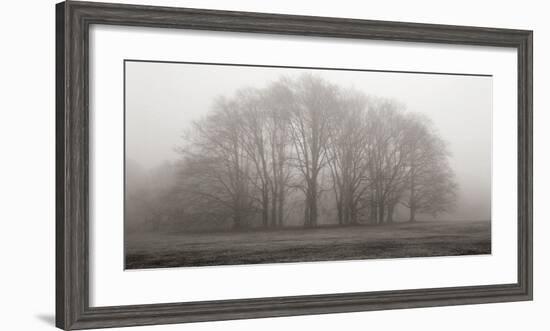 Gathering Trees-Michael Iacobellis-Framed Giclee Print