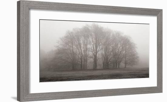 Gathering Trees-Michael Iacobellis-Framed Giclee Print