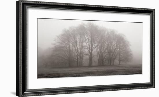 Gathering Trees-Michael Iacobellis-Framed Giclee Print