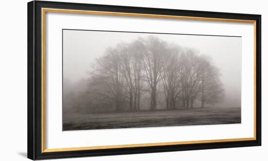 Gathering Trees-Michael Iacobellis-Framed Giclee Print