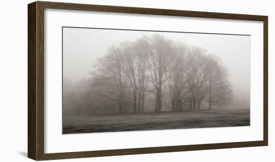 Gathering Trees-Michael Iacobellis-Framed Giclee Print