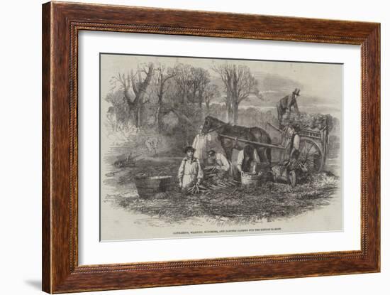 Gathering, Washing, Bunching, and Carting Carrots for the London Market-null-Framed Giclee Print