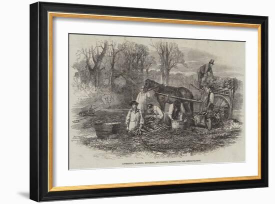 Gathering, Washing, Bunching, and Carting Carrots for the London Market-null-Framed Giclee Print