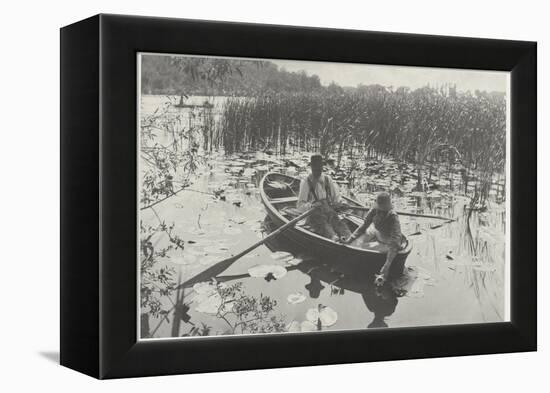 Gathering Water-Lilies (Collection of Water Lilies)-Peter Henry Emerson-Framed Premier Image Canvas