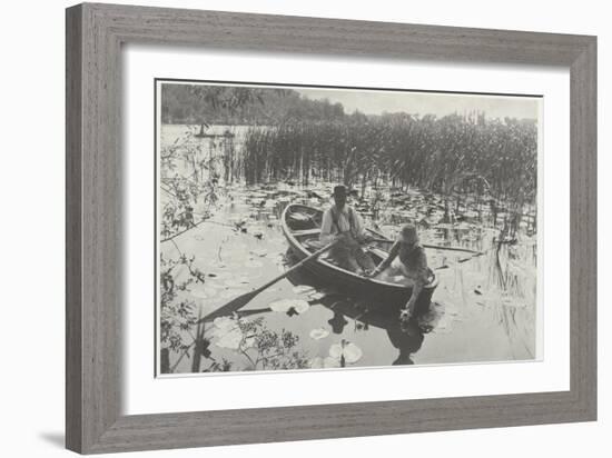 Gathering Water-Lilies (Collection of Water Lilies)-Peter Henry Emerson-Framed Giclee Print