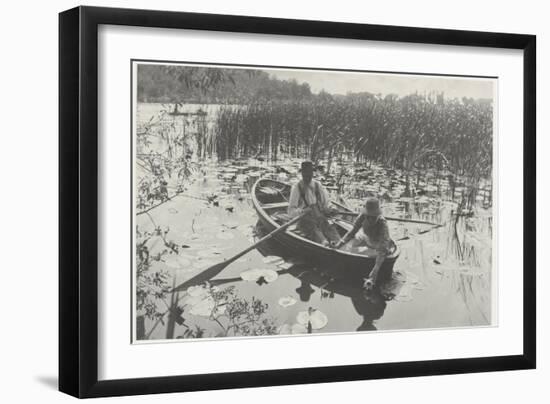 Gathering Water-Lilies (Collection of Water Lilies)-Peter Henry Emerson-Framed Giclee Print