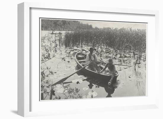 Gathering Water-Lilies (Collection of Water Lilies)-Peter Henry Emerson-Framed Giclee Print