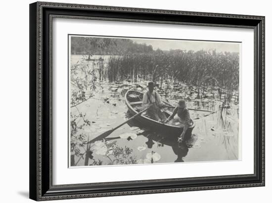 Gathering Water-Lilies (Collection of Water Lilies)-Peter Henry Emerson-Framed Giclee Print