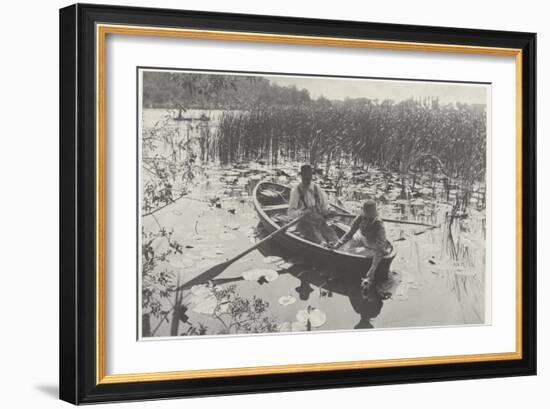 Gathering Water-Lilies (Collection of Water Lilies)-Peter Henry Emerson-Framed Giclee Print