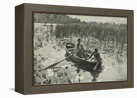 Gathering Water Lillies-Emerson Peter Henry-Framed Premier Image Canvas