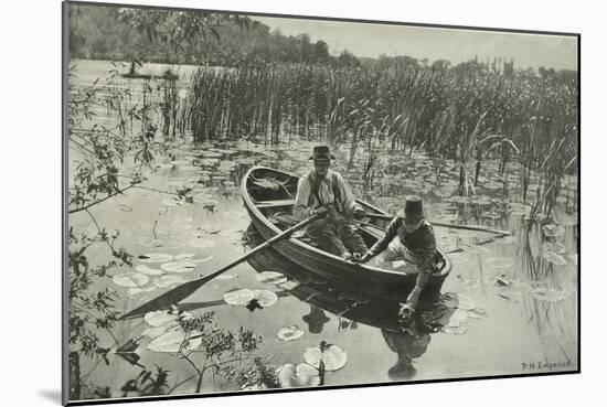 Gathering Water Lillies-Emerson Peter Henry-Mounted Giclee Print