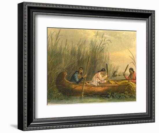 Gathering Wild Rice, 1853-Seth Eastman-Framed Giclee Print