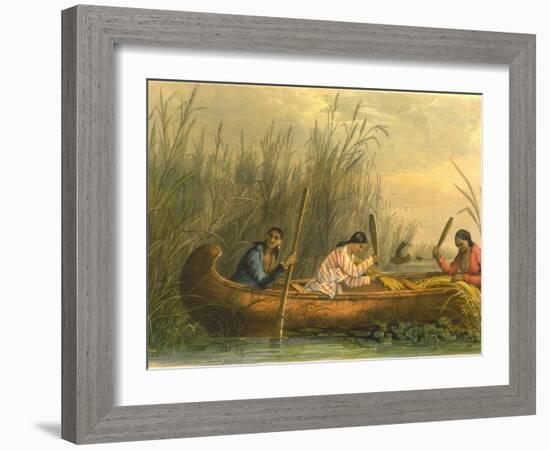 Gathering Wild Rice, 1853-Seth Eastman-Framed Giclee Print