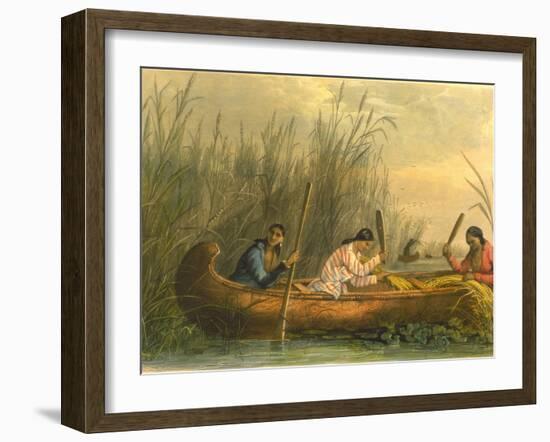 Gathering Wild Rice, 1853-Seth Eastman-Framed Giclee Print