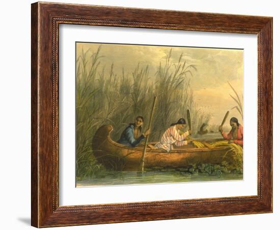 Gathering Wild Rice, 1853-Seth Eastman-Framed Giclee Print