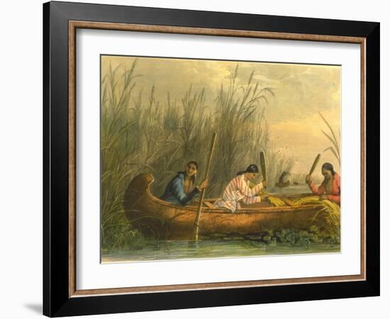 Gathering Wild Rice, 1853-Seth Eastman-Framed Giclee Print