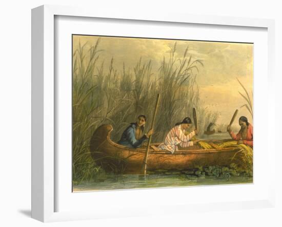 Gathering Wild Rice, 1853-Seth Eastman-Framed Giclee Print