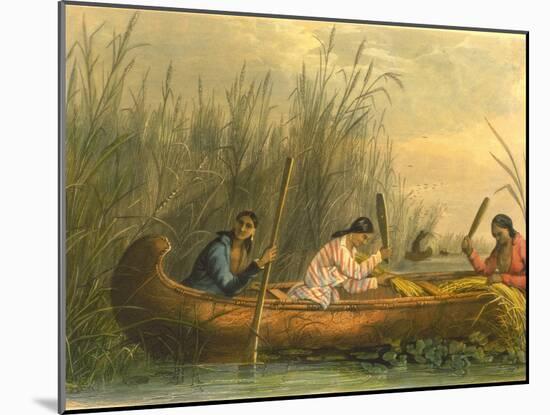 Gathering Wild Rice, 1853-Seth Eastman-Mounted Giclee Print