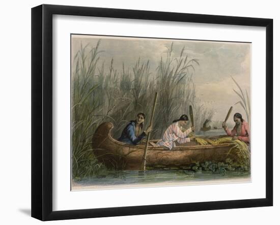 Gathering Wild Rice-Seth Eastman-Framed Giclee Print