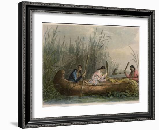 Gathering Wild Rice-Seth Eastman-Framed Giclee Print