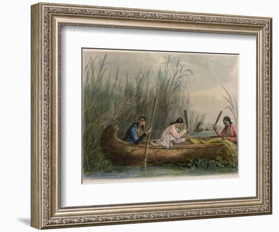 Gathering Wild Rice-Seth Eastman-Framed Giclee Print