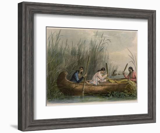 Gathering Wild Rice-Seth Eastman-Framed Giclee Print