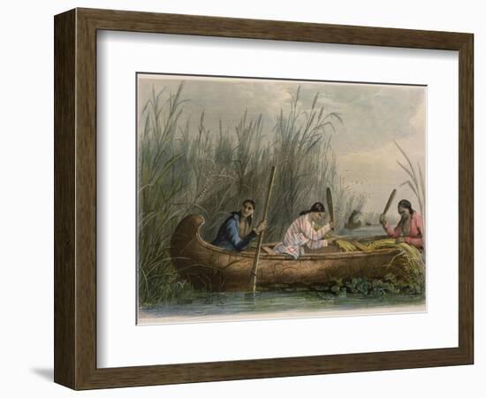 Gathering Wild Rice-Seth Eastman-Framed Giclee Print