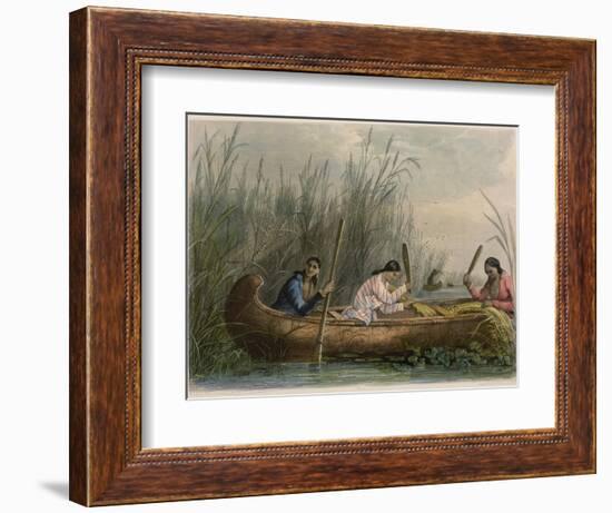 Gathering Wild Rice-Seth Eastman-Framed Giclee Print