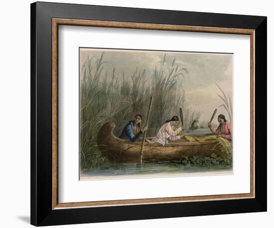 Gathering Wild Rice-Seth Eastman-Framed Giclee Print