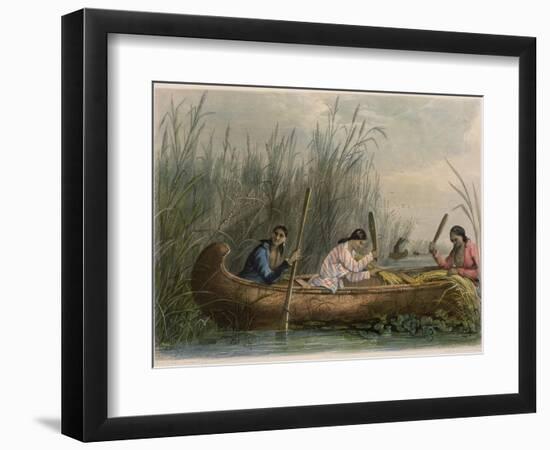 Gathering Wild Rice-Seth Eastman-Framed Giclee Print