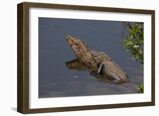 Gator Alley At The D'Olive Boardwalk Park In Daphne, Alabama-Carol Highsmith-Framed Art Print