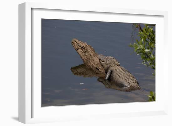 Gator Alley At The D'Olive Boardwalk Park In Daphne, Alabama-Carol Highsmith-Framed Art Print