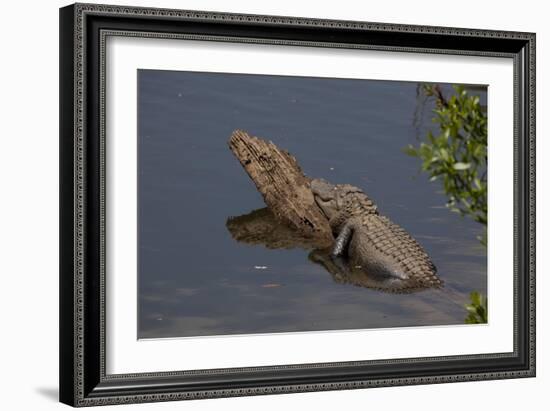 Gator Alley At The D'Olive Boardwalk Park In Daphne, Alabama-Carol Highsmith-Framed Art Print