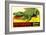 Gator from Okefenokee Swamp Park-null-Framed Art Print