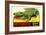 Gator from Okefenokee Swamp Park-null-Framed Art Print