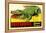 Gator from Okefenokee Swamp Park-null-Framed Stretched Canvas