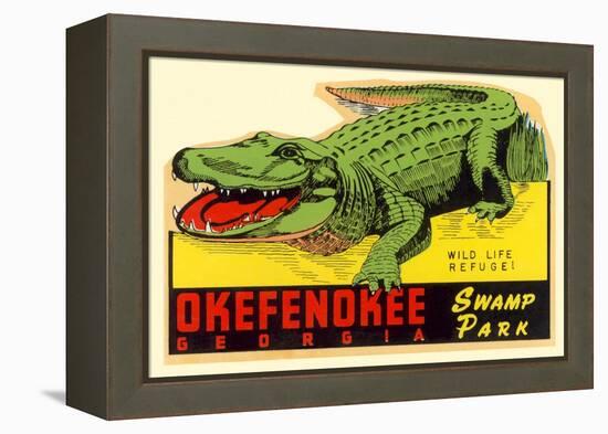 Gator from Okefenokee Swamp Park-null-Framed Stretched Canvas