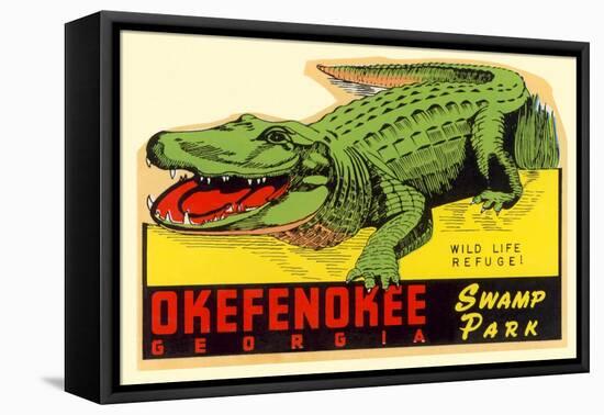 Gator from Okefenokee Swamp Park-null-Framed Stretched Canvas