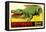 Gator from Okefenokee Swamp Park-null-Framed Stretched Canvas