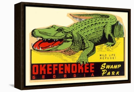 Gator from Okefenokee Swamp Park-null-Framed Stretched Canvas