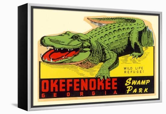 Gator from Okefenokee Swamp Park-null-Framed Stretched Canvas