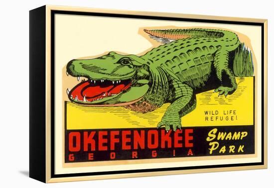 Gator from Okefenokee Swamp Park-null-Framed Stretched Canvas