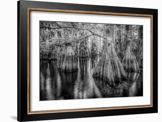 Gator Hook-Dennis Goodman-Framed Photographic Print