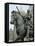 Gattamelata Equestrian Monument, 1446-1453-null-Framed Premier Image Canvas