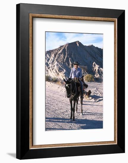 Gaucho in Quebrada de las Flechas near Salta, Argentina-null-Framed Art Print