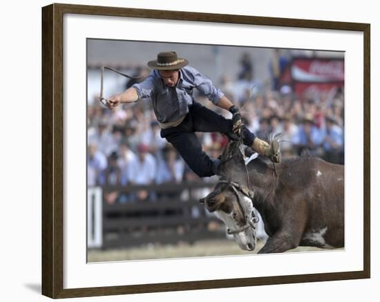 Gaucho, or Cowboy, is Thrown from a Horse as He Competes in a Rodeo in Montevideo-null-Framed Photographic Print