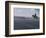 Gaucho, Patagonia, Argentina-Art Wolfe-Framed Photographic Print