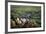 Gaucho with Horses at Estancia Los Potreros, Cordoba Province, Argentina, South America-Yadid Levy-Framed Photographic Print